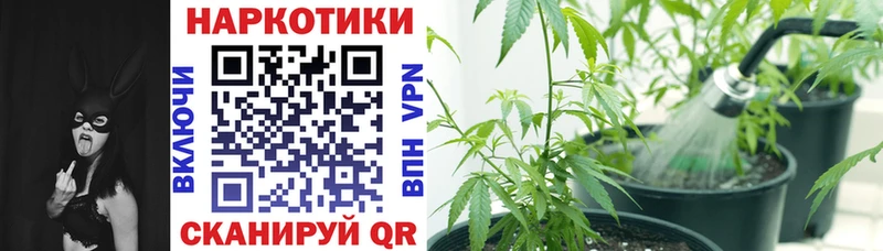 Виды наркоты Урюпинск ГАШИШ  Амфетамин  А ПВП  Меф мяу мяу  Псилоцибиновые грибы  Бошки Шишки 